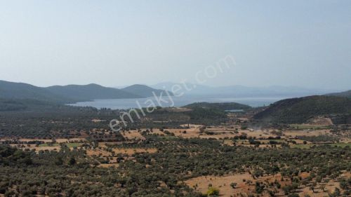 Arsa-Özel Kullanım