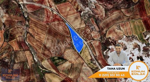 Arsa-Tarla