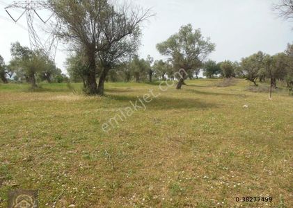 Arsa-Tarla