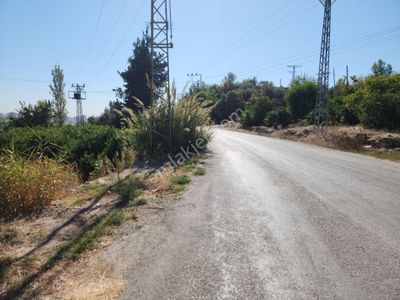 Arsa-Tarla