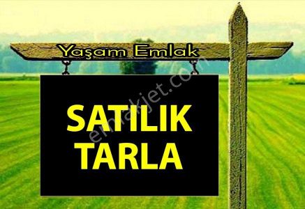 Arsa-Tarla