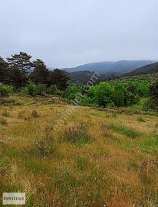Arsa-Tarla