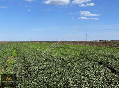 Arsa-Bağ & Bahçe