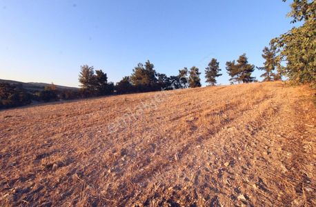 Arsa-Tarla