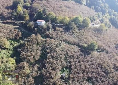 Arsa-Konut İmarlı