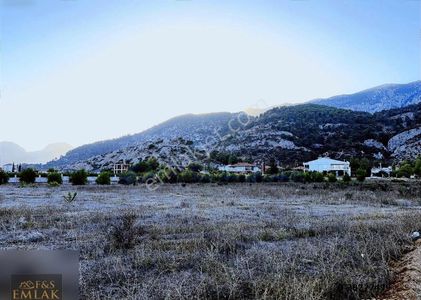 Arsa-Konut İmarlı