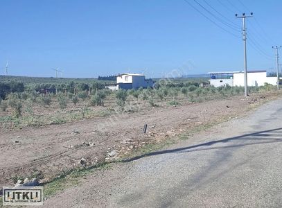 Arsa-Tarla