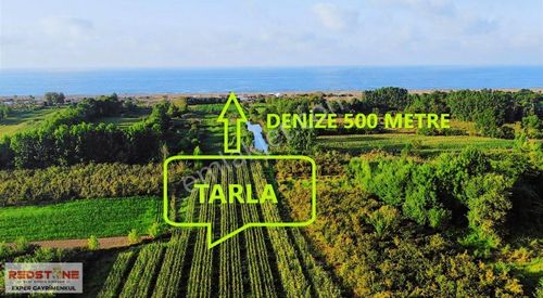 Arsa-Tarla