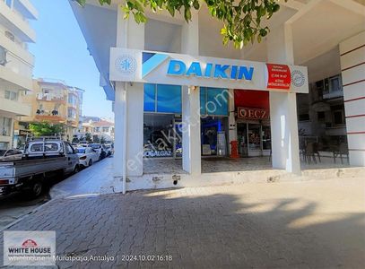 İşyeri-Dükkan & Mağaza