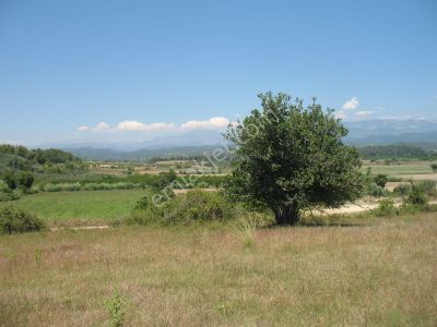Arsa-Konut İmarlı