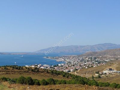 Arsa-Tarla