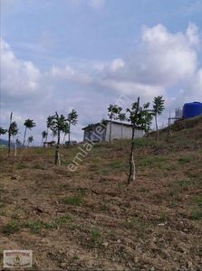 Arsa-Tarla