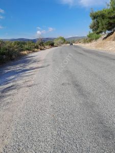 Arsa-Tarla