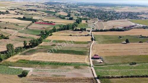 Arsa-Tarla