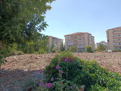 Arsa-Konut İmarlı