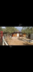 Arsa-Bağ & Bahçe