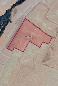 Arsa-Tarla
