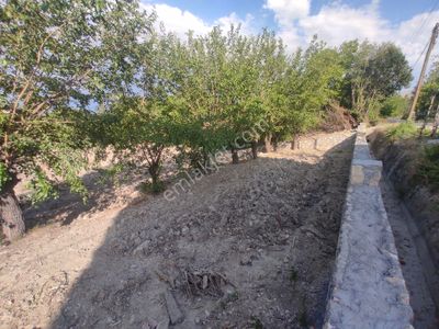 Arsa-Konut İmarlı