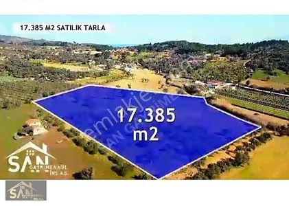 Arsa-Tarla