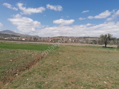 Arsa-Tarla