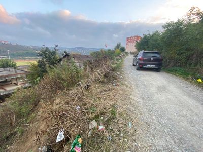 Arsa-Konut İmarlı