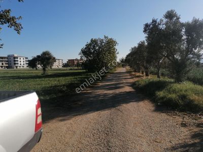 Arsa-Tarla