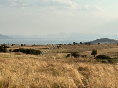 Arsa-Tarla