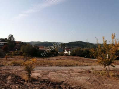 Arsa-Tarla