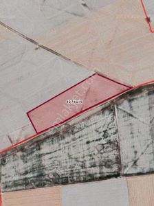 Arsa-Tarla