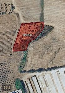Arsa-Sanayi İmarlı
