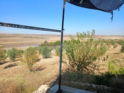 Arsa-Tarla