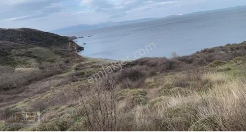 Arsa-Sanayi İmarlı