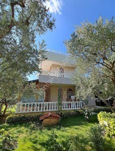 Konut-Villa