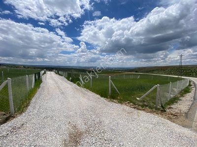 Arsa-Tarla