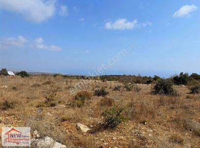 Arsa-Konut İmarlı