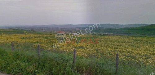 Arsa-Bağ & Bahçe