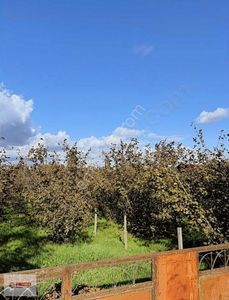 Arsa-Ticari İmarlı