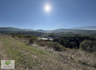 Arsa-Tarla