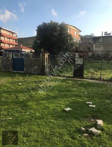 Arsa-Konut İmarlı