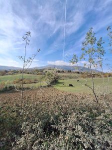 Arsa-Tarla