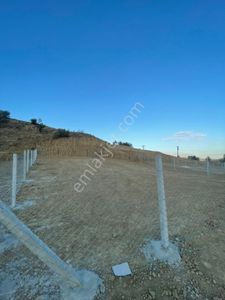 Arsa-Bağ & Bahçe