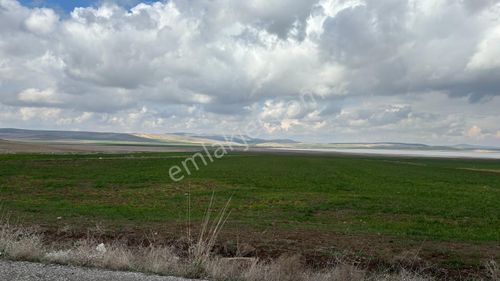 Arsa-Konut İmarlı