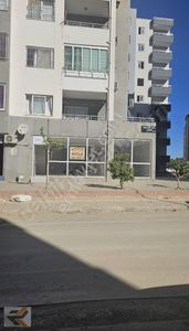 İşyeri-Dükkan & Mağaza