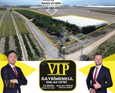 Arsa-Bağ & Bahçe