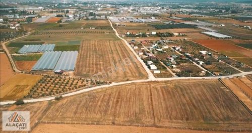 Arsa-Tarla