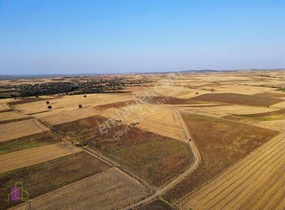 Arsa-Tarla