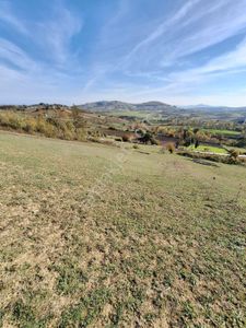 Arsa-Tarla