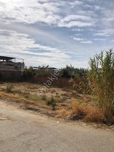 Arsa-Konut İmarlı