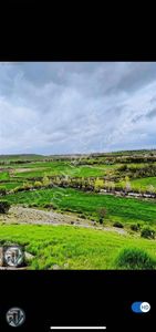 Arsa-Tarla