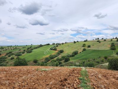 Arsa-Tarla